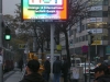 Wiener_Stadthalle_Videowall1_396