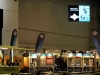 CSI_Genf_12_2004_4FI